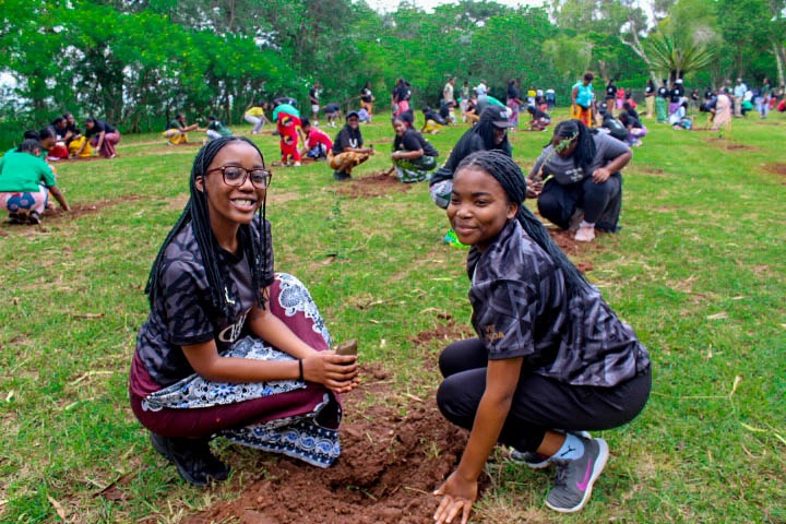 Kamuzu Academy Annual Tree Planting exercise 2025 - Image 10